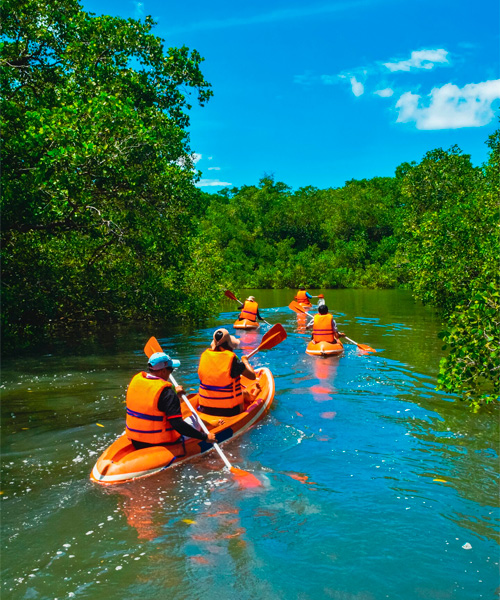 Kayak Manglares Laguna Negra